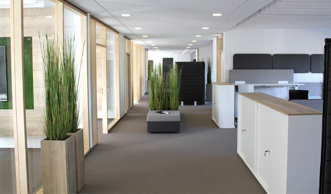 New Work Area bei Halfar System GmbH