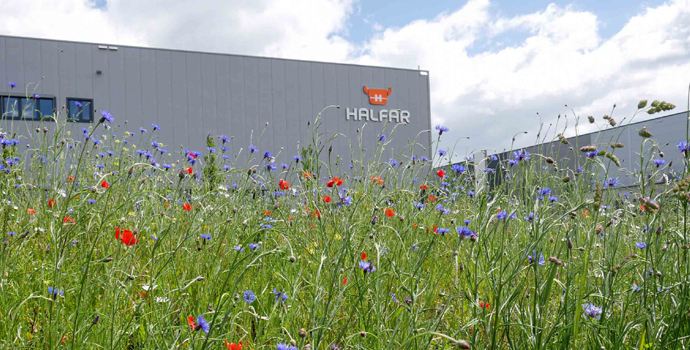 ZERTIFIZIERTE BIODIVERSITÄT BEI HALFAR