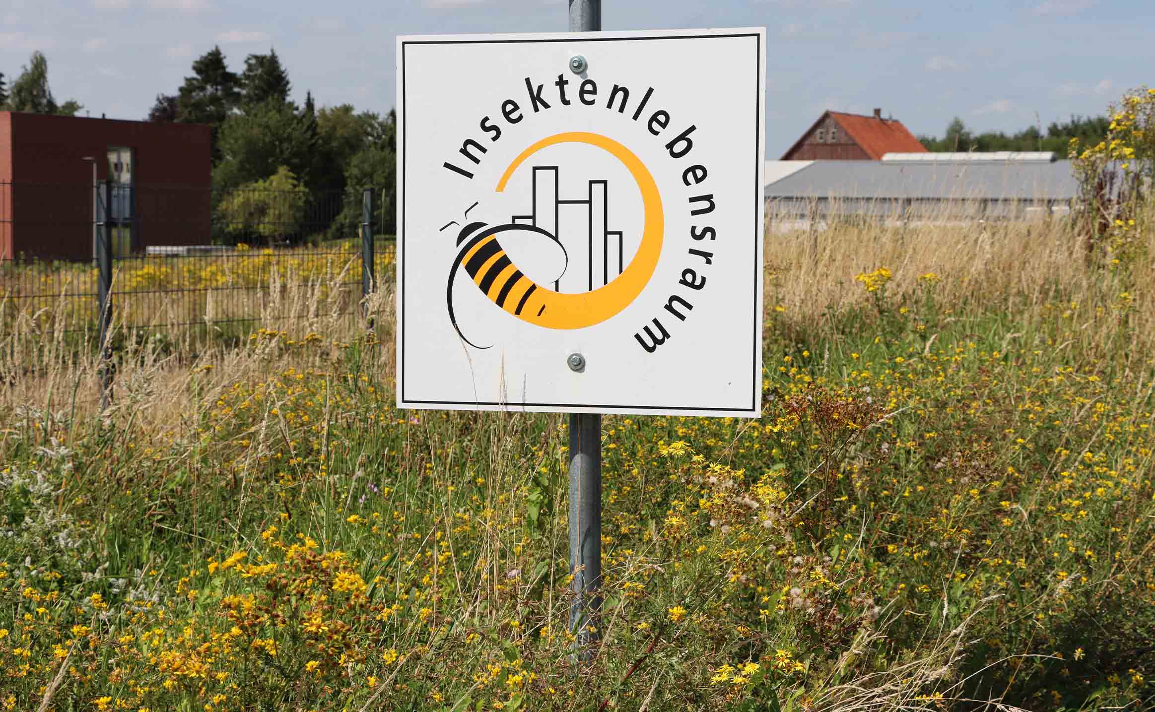 Halfar Blog – Schutz und Förderung des Insektenlebensraums